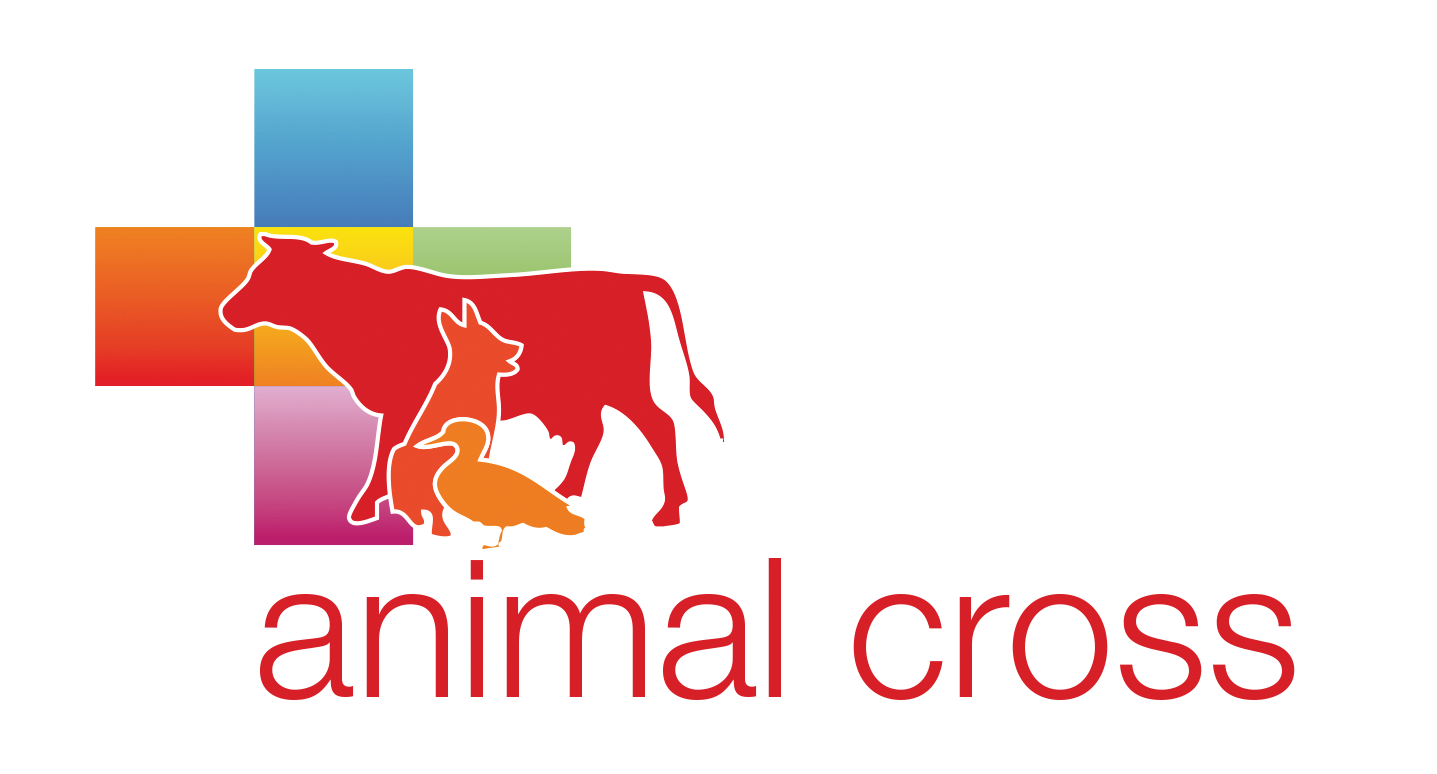 Animal Cross