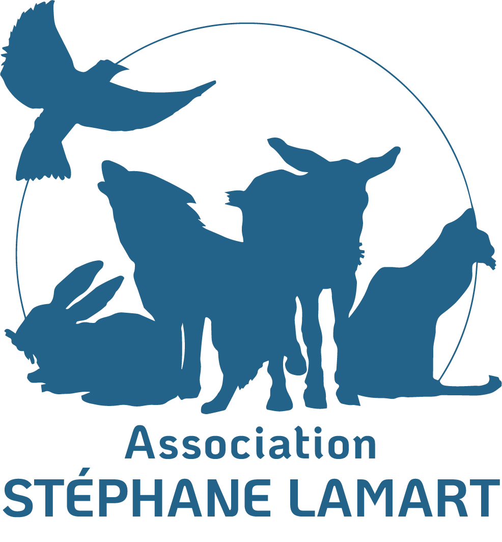 Association Stéphane Lamart
