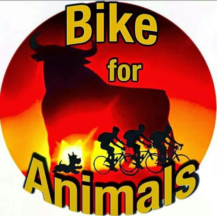Bike for Animals