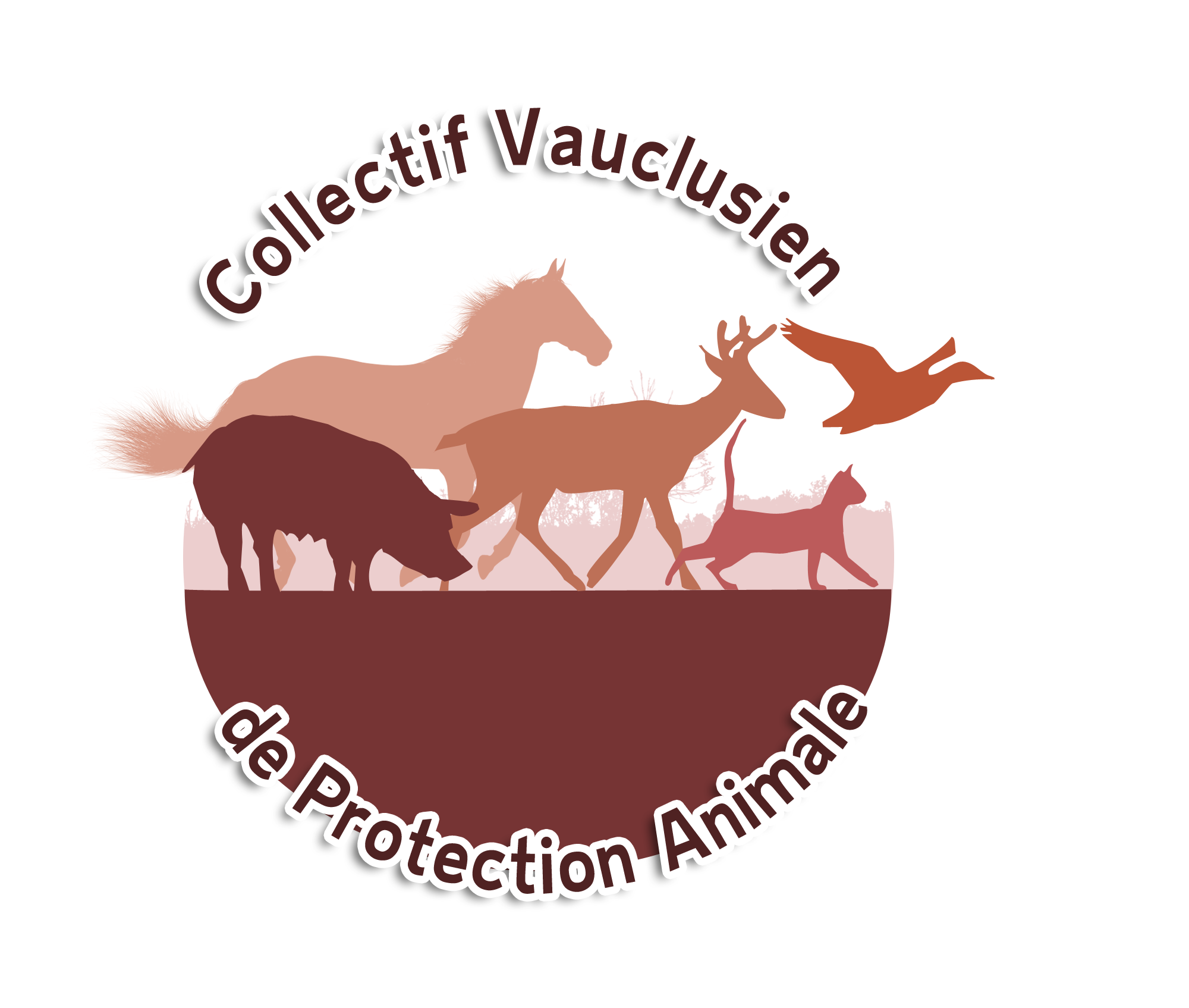 Collectif Vauclusien de Protection Animale