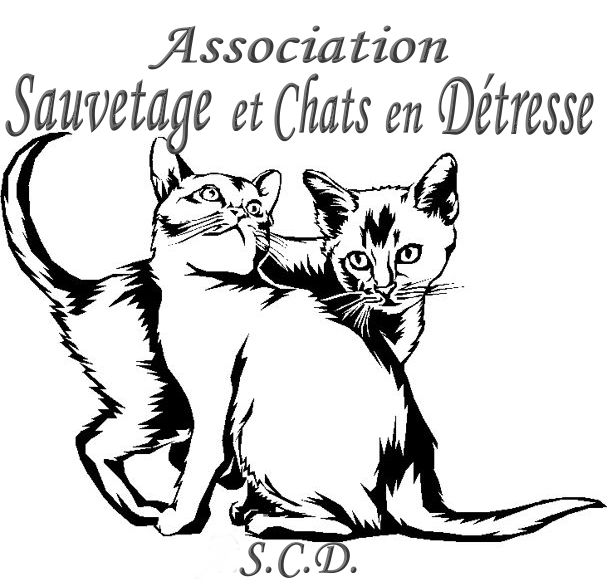 Association Sauvetage et Chats en Détresse