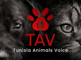 Tunisia Animals Voice