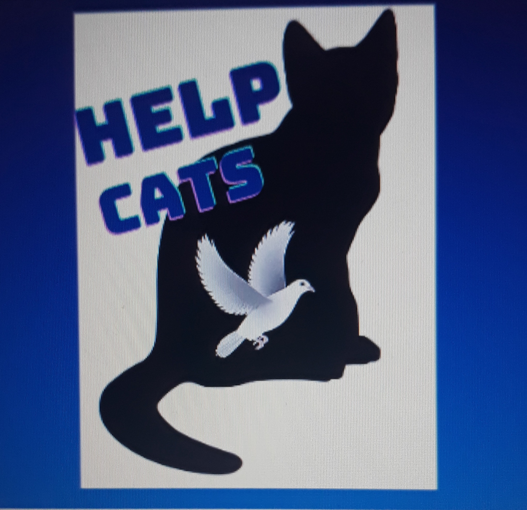 Help Cats